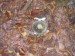 P1010004.JPG